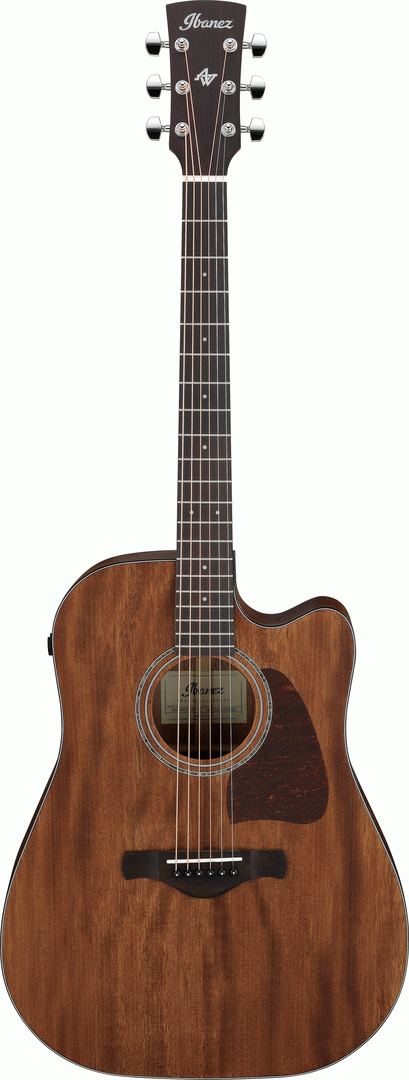 Ibanez AW1040CE Open Pore Natural Acoutic Guitar All Solid-Buzz Music