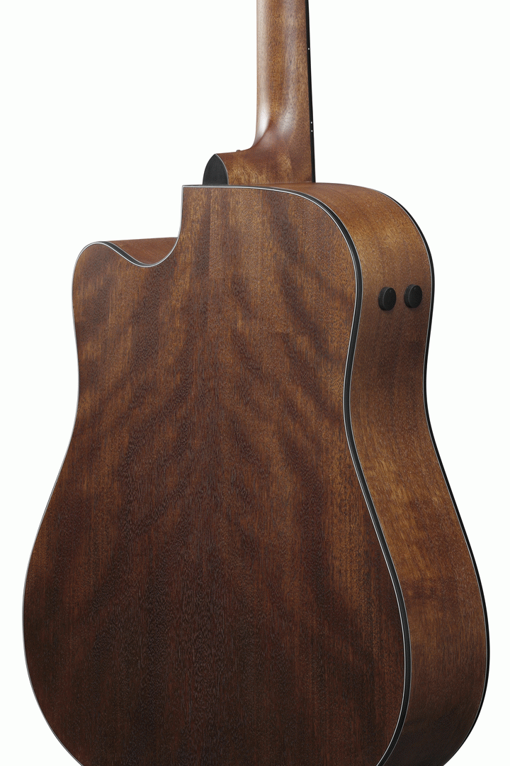 Ibanez AW1040CE Open Pore Natural Acoutic Guitar All Solid-Buzz Music