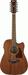 Ibanez AW5412CE OPN Acoustic Guitar-Buzz Music