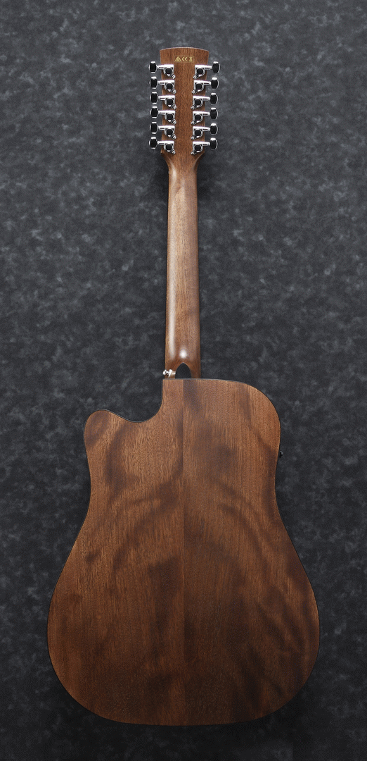 Ibanez AW5412CE OPN Acoustic Guitar-Buzz Music