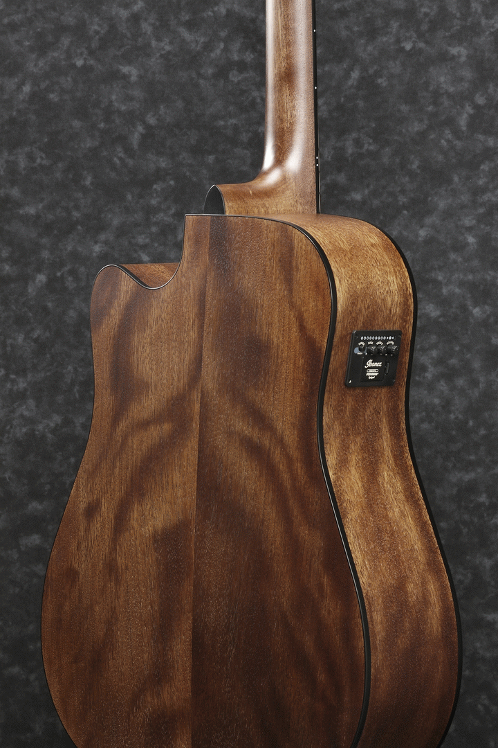 Ibanez AW5412CE OPN Acoustic Guitar-Buzz Music