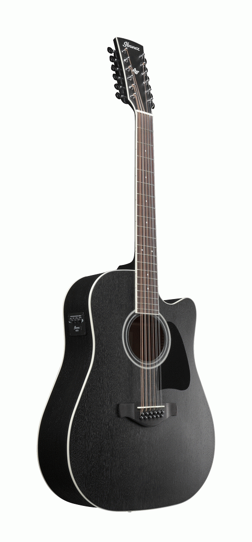 Ibanez AW8412CE WK Acoustic Guitar-Buzz Music