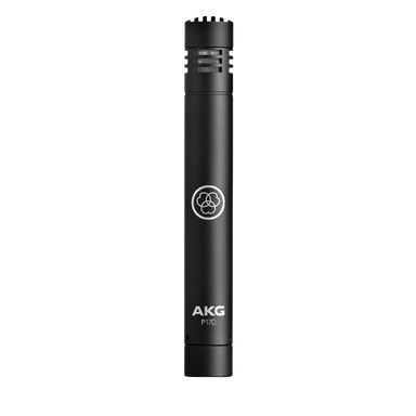 Akg P170 High Performance Small Capsule Condenser Microphone-Buzz Music