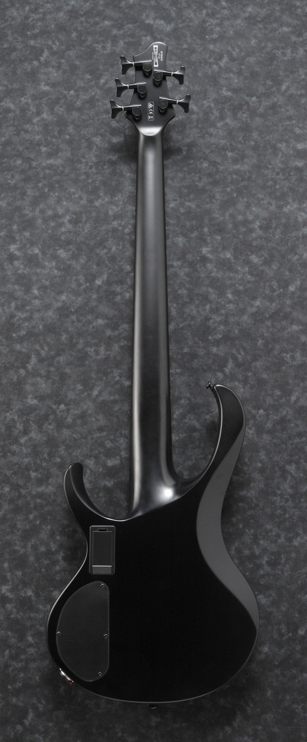 Ibanez BTB625EX BKF Electric 5-String Bass-Buzz Music