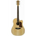 Cole Clark Fat Lady 2Ec Bunya Top With Blackwood Back And Sides-Buzz Music