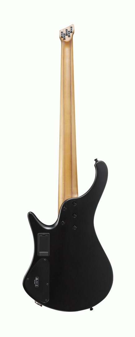 Ibanez EHB1005MS BKF Electric 5-String.Bass-Buzz Music