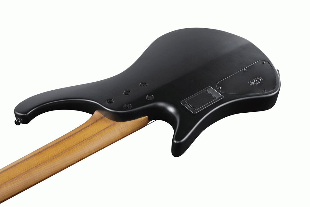 Ibanez EHB1005MS BKF Electric 5-String.Bass-Buzz Music