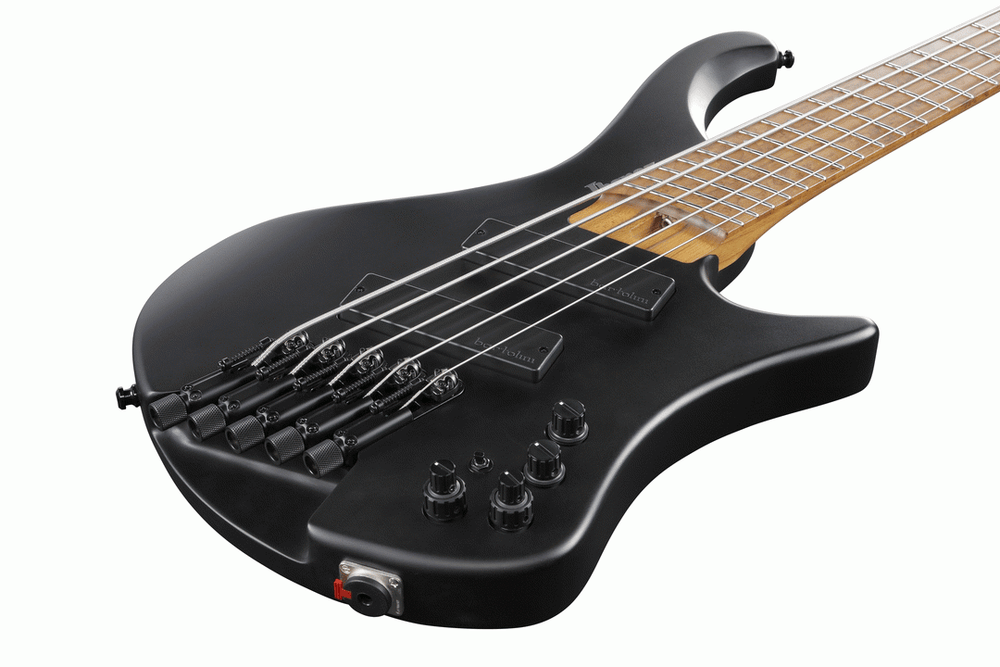 Ibanez EHB1005MS BKF Electric 5-String.Bass-Buzz Music