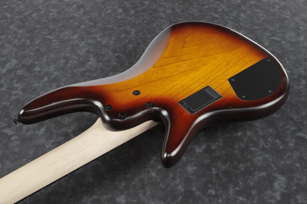 Ibanez GWB205 TQF Gary Willis Premium Electric 5-String.Bass With Bag(Pgpbb)-Buzz Music