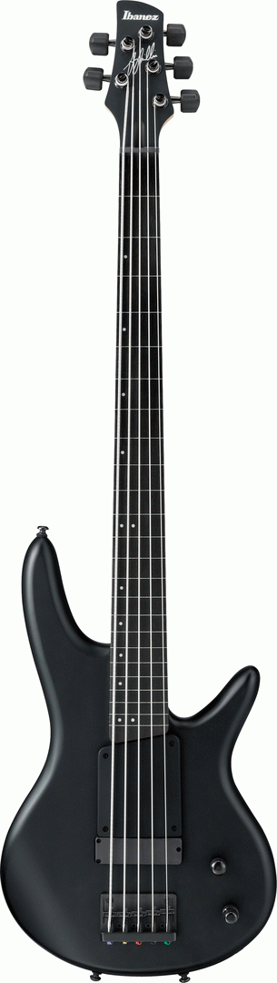 Ibanez GWB35 BKF Gary Willis Electric 5-String.Bass-Buzz Music