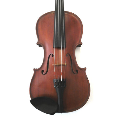 Gliga Iii Series Violin Outfit Full Size Professionally Set Up-Buzz Music