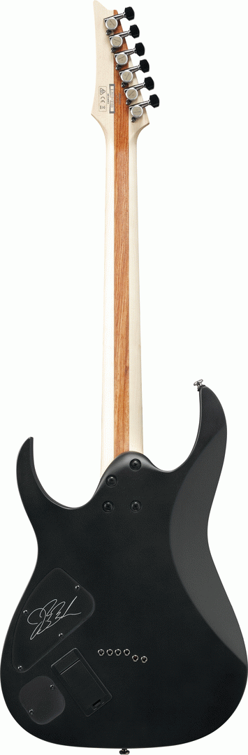 Ibanez JBBM30 Black Flat JB Brubaker Signature Model-Buzz Music