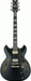 Ibanez JSM20 BKL John Scofield Electric Guitar W/Case-Buzz Music