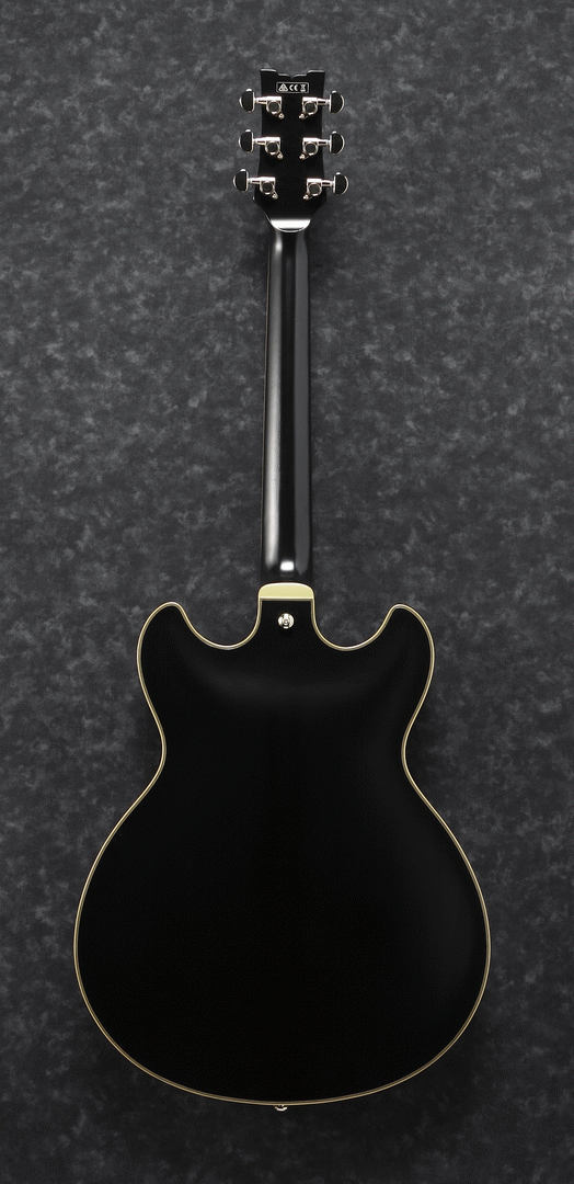 Ibanez JSM20 BKL John Scofield Electric Guitar W/Case-Buzz Music