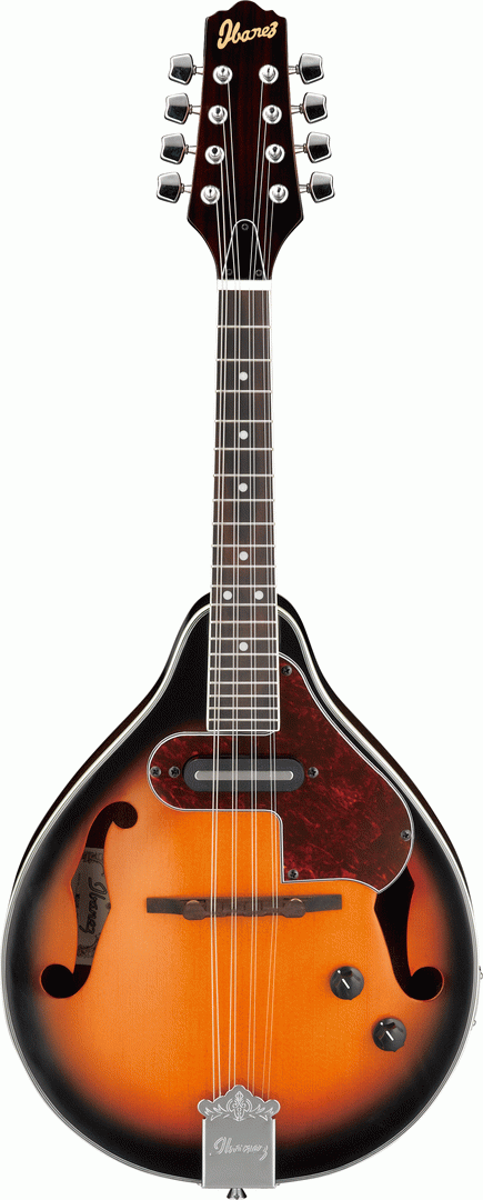 Ibanez M510e Bs Mandolin-Buzz Music