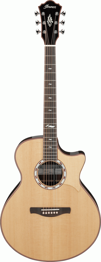 Ibanez MRC10 Natural High Gloss NT Marcin Signature Acoustic Guitar-Buzz Music