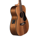 Maton Ebw808 Blackwood Bluegrass Acoustic Guitar-Buzz Music