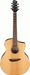 Ibanez PA230E Natural Satin Top, Natural Low Gloss Back and Sides Acoustic Guitar-Buzz Music