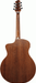 Ibanez PA230E Natural Satin Top, Natural Low Gloss Back and Sides Acoustic Guitar-Buzz Music