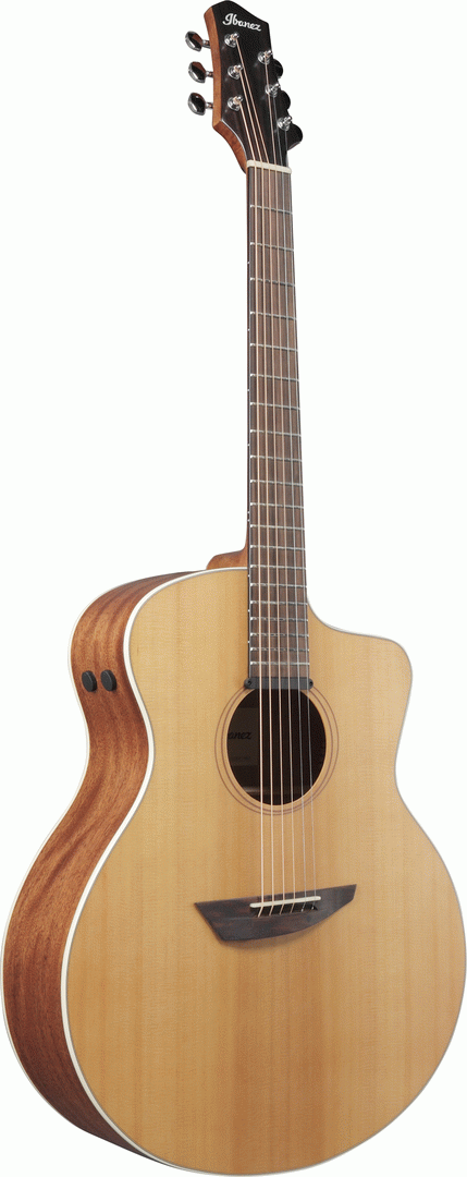 Ibanez PA230E Natural Satin Top, Natural Low Gloss Back and Sides Acoustic Guitar-Buzz Music