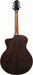 Ibanez PA300E Natural Satin Top, Natural Low Gloss Back and Sides Acoustic Guitar-Buzz Music