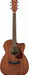 Ibanez PC12MHCE OPN Acoustic Guitar-Buzz Music