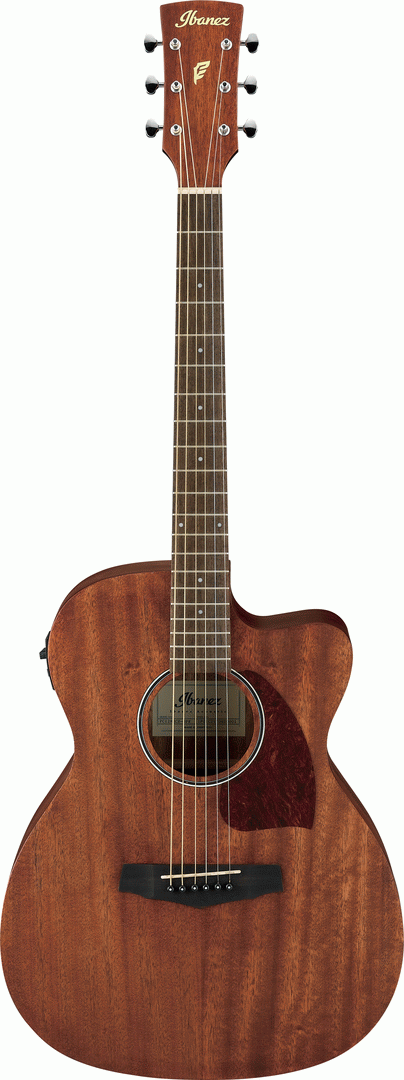 Ibanez PC12MHCE OPN Acoustic Guitar-Buzz Music