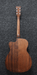 Ibanez PC12MHCE OPN Acoustic Guitar-Buzz Music