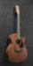 Ibanez PC12MHCE OPN Acoustic Guitar-Buzz Music