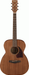 Ibanez PC12MH OPN Acoustic Guitar-Buzz Music