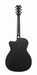 Ibanez PC14MHCE WK Acoustic Guitar-Buzz Music