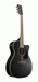 Ibanez PC14MHCE WK Acoustic Guitar-Buzz Music