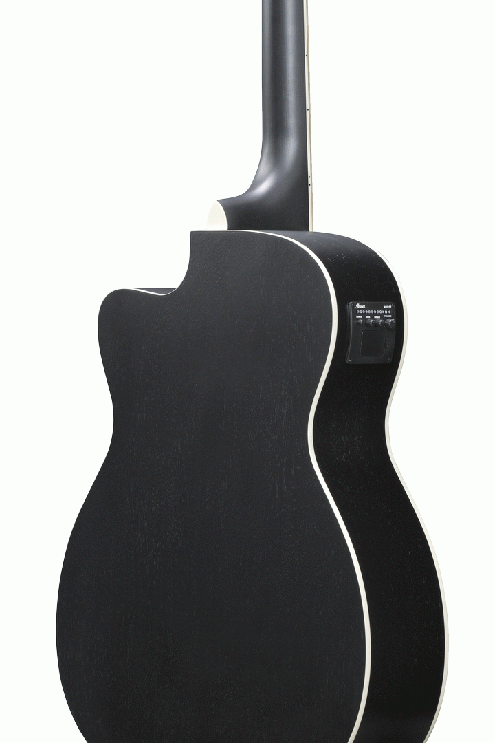 Ibanez PC14MHCE WK Acoustic Guitar-Buzz Music