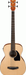 Ibanez PCBE12 OPN Acoustic Bass Guitar-Buzz Music