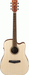 Ibanez PF10CE OPN Acoustic Guitar-Buzz Music