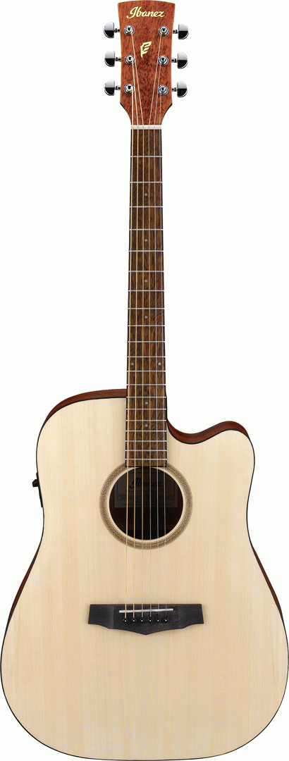 Ibanez PF10CE OPN Acoustic Guitar-Buzz Music