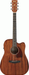Ibanez PF12MHCE OPN Acoustic Guitar-Buzz Music