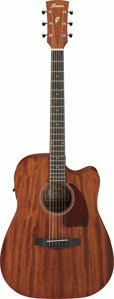 Ibanez PF12MHCE OPN Acoustic Guitar-Buzz Music