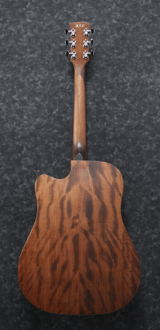 Ibanez PF12MHCE OPN Acoustic Guitar-Buzz Music