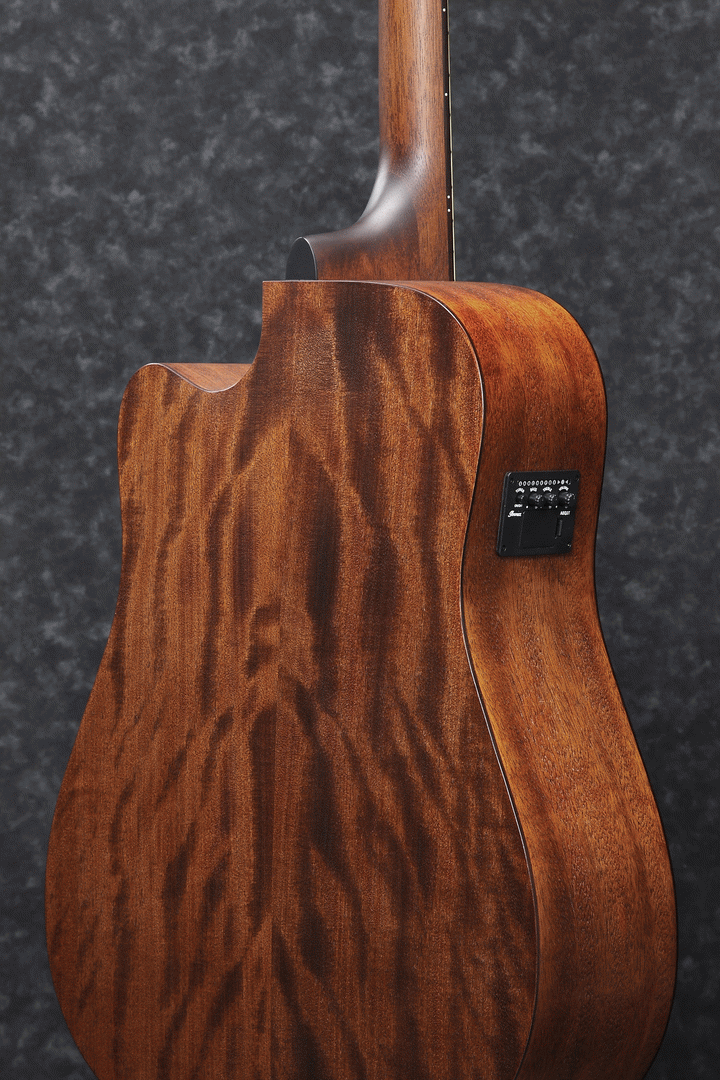 Ibanez PF12MHCE OPN Acoustic Guitar-Buzz Music