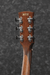 Ibanez PF12MHCE OPN Acoustic Guitar-Buzz Music