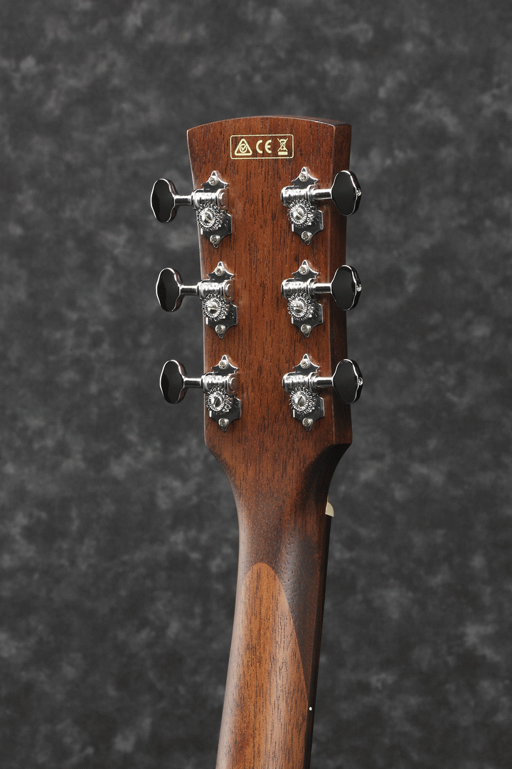 Ibanez PF12MHCE OPN Acoustic Guitar-Buzz Music