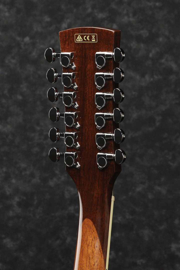 Ibanez PF1512ECE NT Acoustic Guitar 12 String-Buzz Music