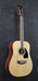 Ibanez PF1512 NT Acoustic Guitar 12 String-Buzz Music