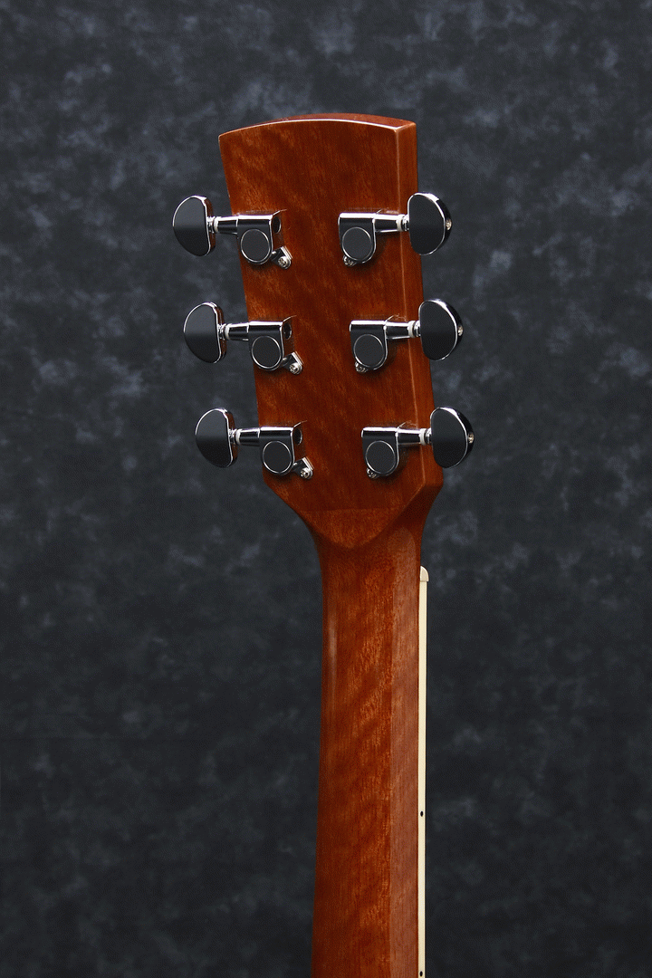 Ibanez PF15ECE NT Acoustic Guitar-Buzz Music