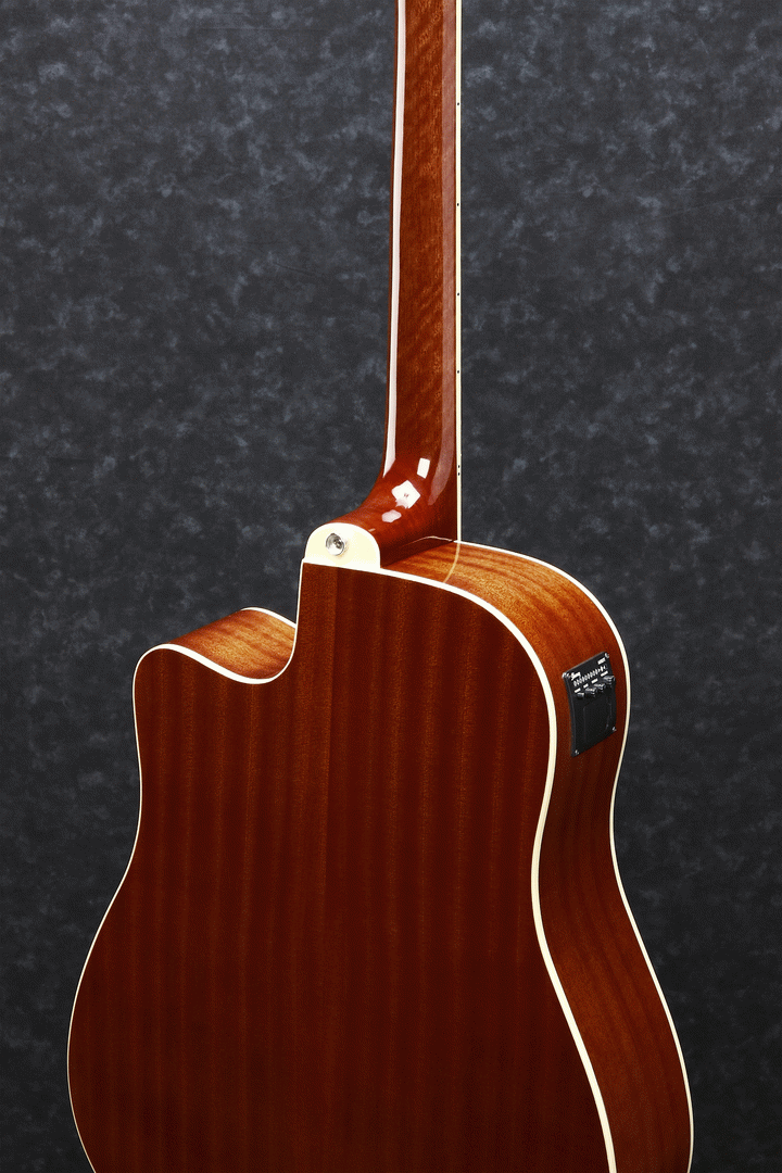 Ibanez PF15ECE NT Acoustic Guitar-Buzz Music