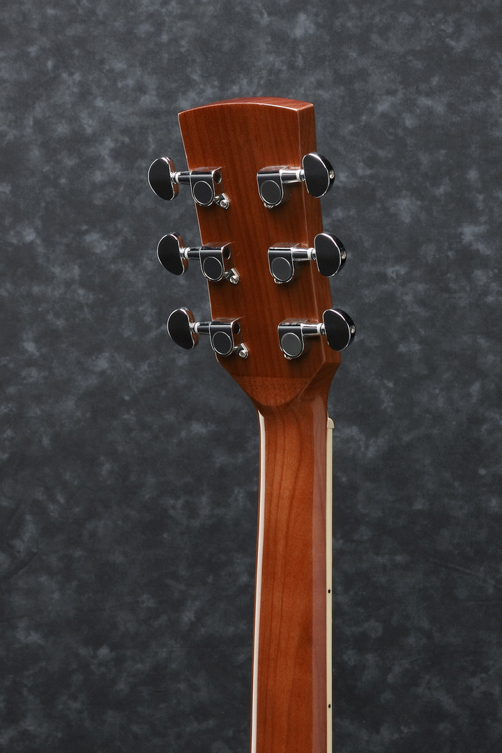 Ibanez PF15 NT Acoustic Guitar-Buzz Music