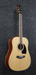 Ibanez PF15 NT Acoustic Guitar-Buzz Music