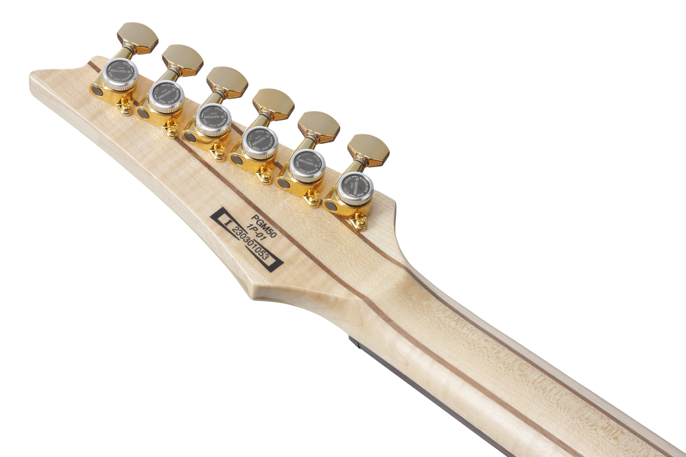 Ibanez PGM50 BK Paul Gilbert Signature Model Inc Gig Bag-Buzz Music