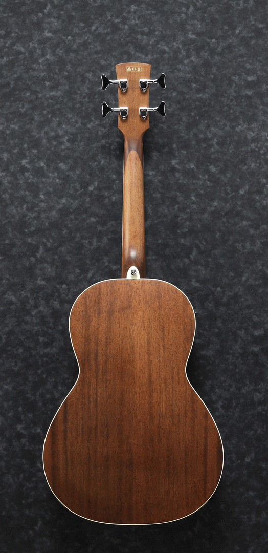 Ibanez PNB14E OPN Acoustic Bass Guitar-Buzz Music